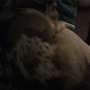 Meet your Posher, Michelle